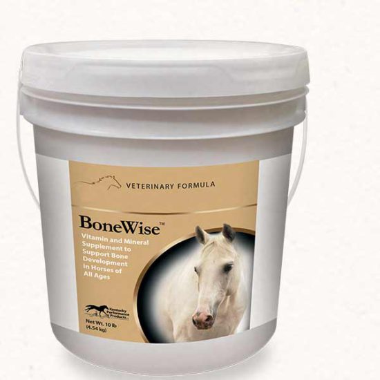 Horse Feed Bucket Hereford